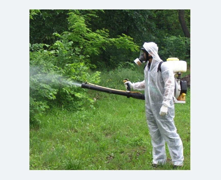 обработка территории от клещей в Буйнакске