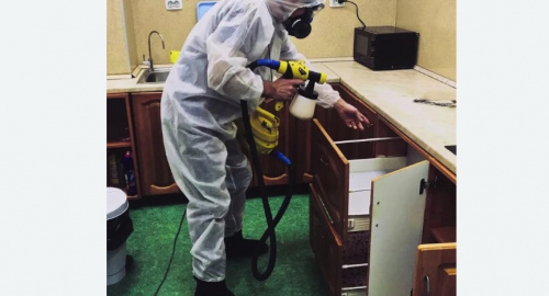 Уничтожение насекомых в квартире. Буйнакск