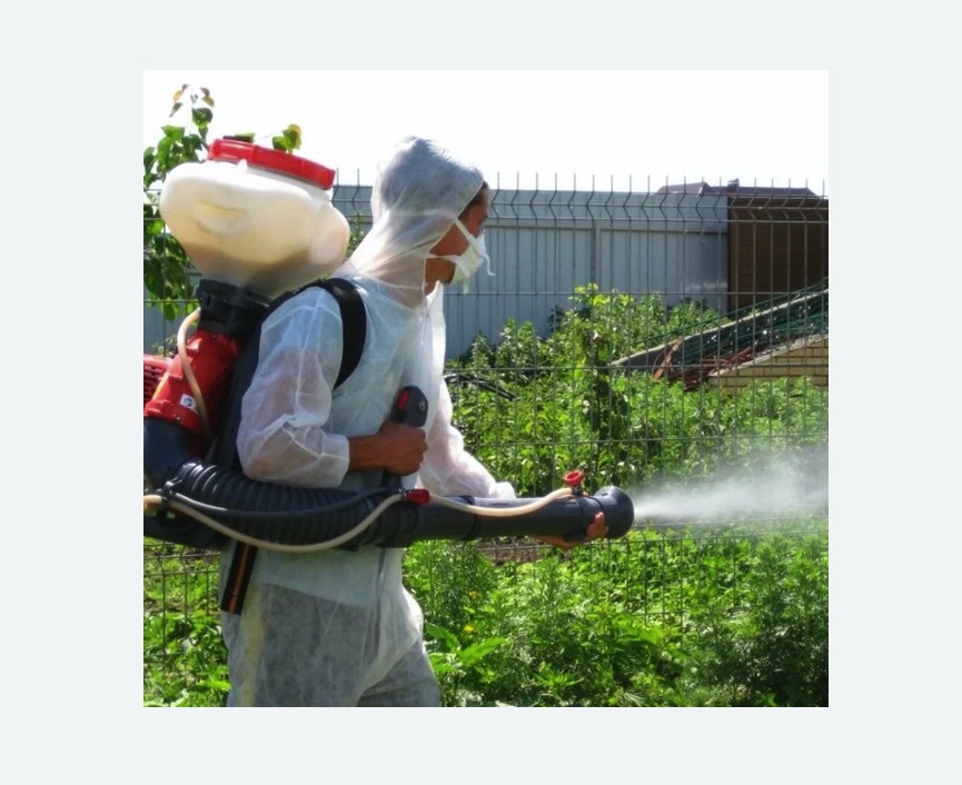 Акарицидная обработка территории в Буйнакске