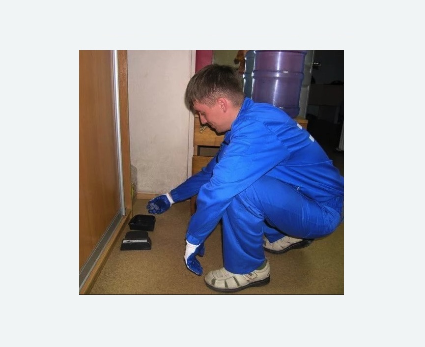 Дератизация крыс в Буйнакске