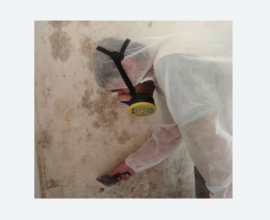 Обработка стен от плесени в Буйнакске
