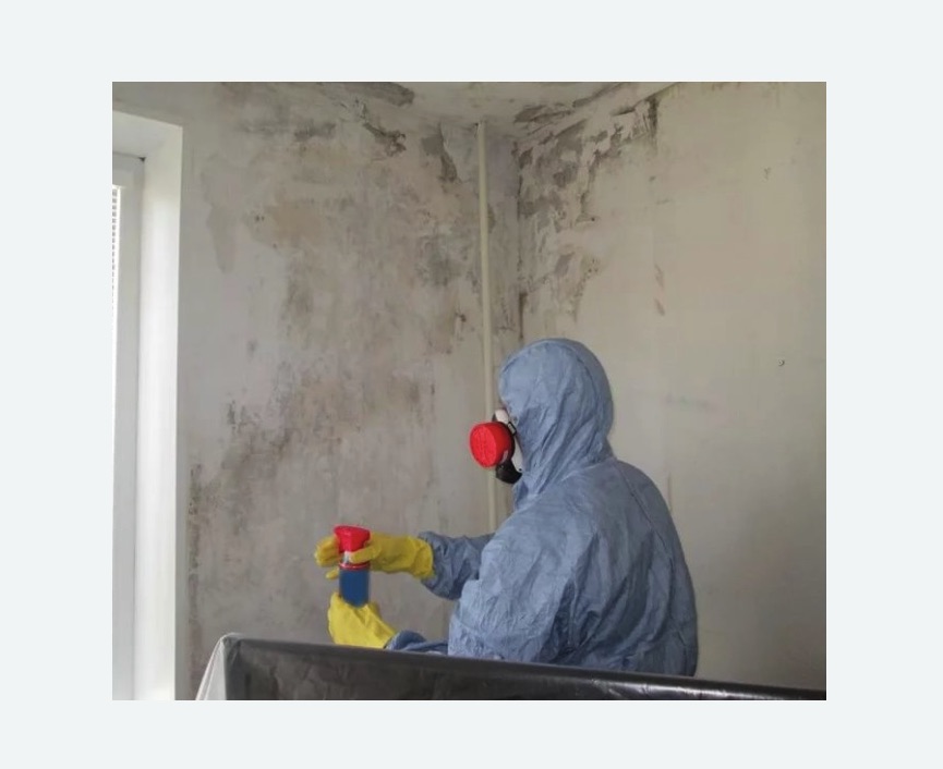 Удаление плесени в квартире в Буйнакске