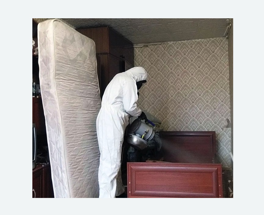 дезинфекция от клопов в Буйнакске