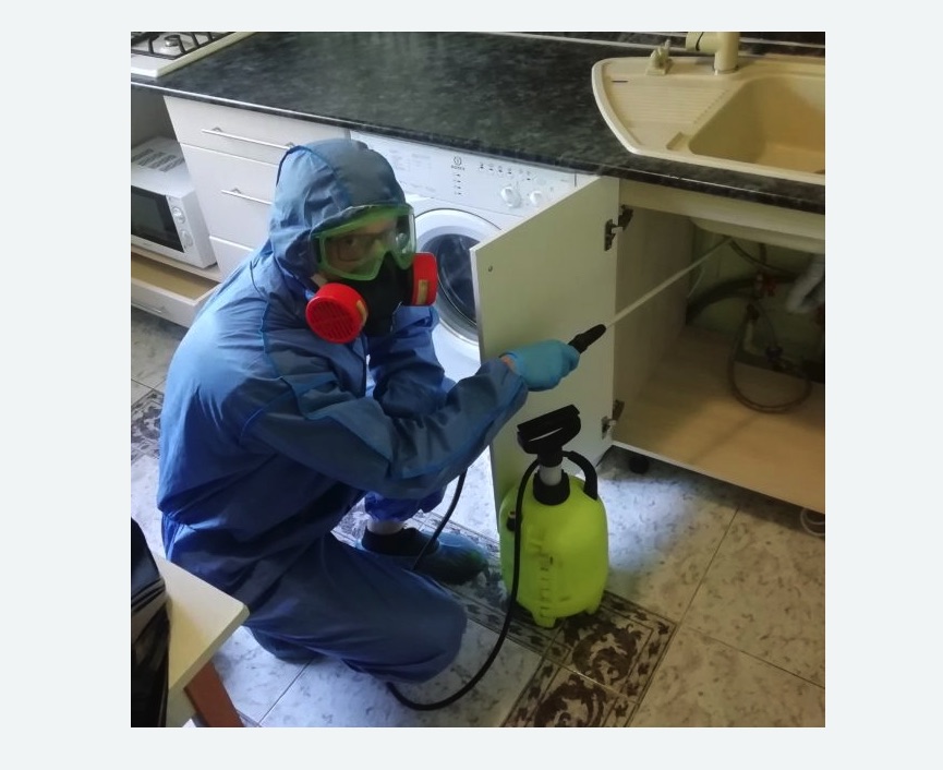 обработка от муравьев в квартире в Буйнакске