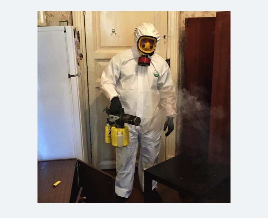 уничтожение муравьев в квартире в Буйнакске